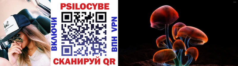 Галлюциногенные грибы Magic Shrooms  Купить закладки  Онега 